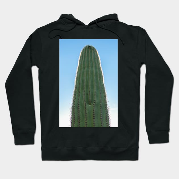 Saguaro Hoodie by jvnimages